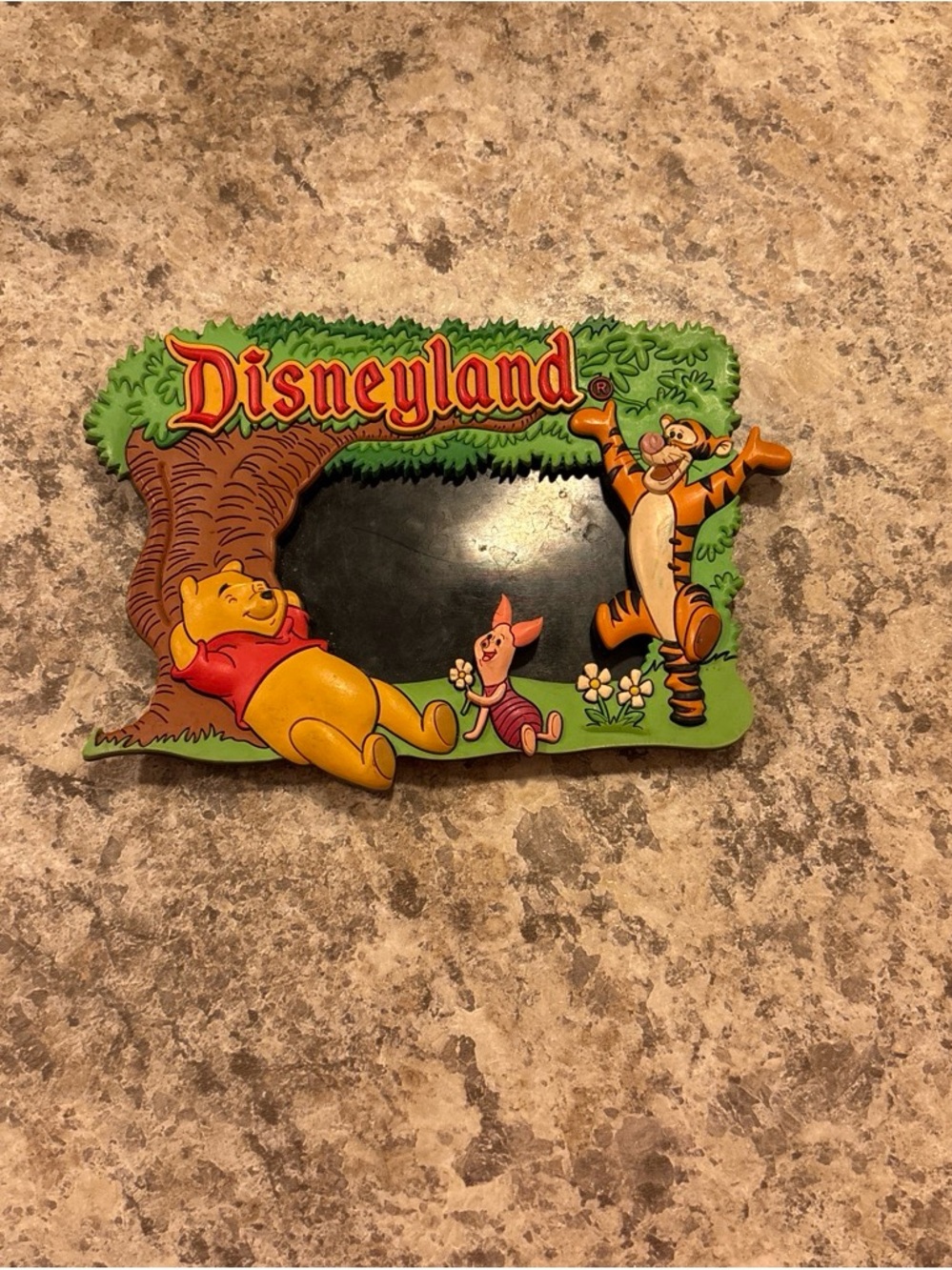 Disneyland Winnie the Pooh Character Photo Frame - Yellow, Red, Green
